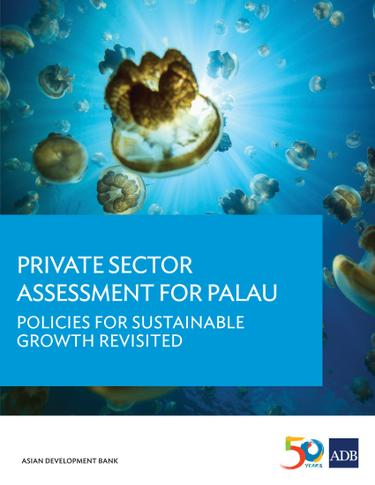 Cover image for Private Sector Assessment for Palau