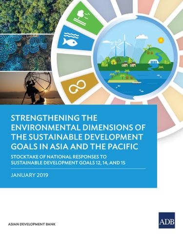 Cover image for Strengthening the Environmental Dimensions of the Sustainable Development Goals in Asia and the Pacific