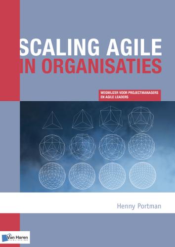 Cover image for Scaling agile in organisaties