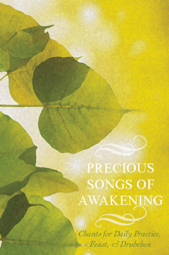 Cover image for Precious Songs of Awakening