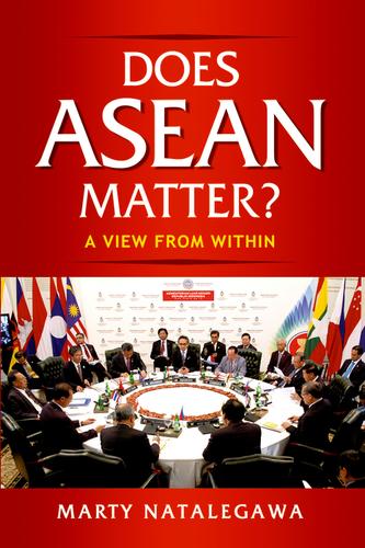 Cover image for Does ASEAN Matter?