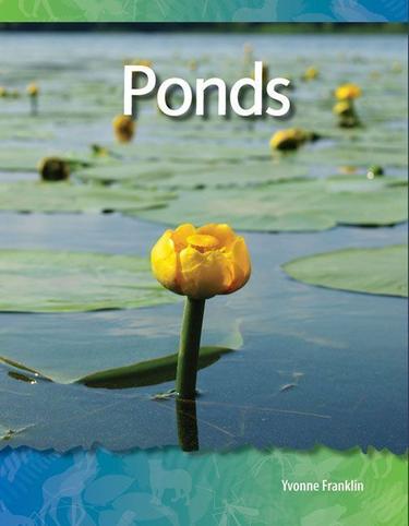 Cover image for Ponds