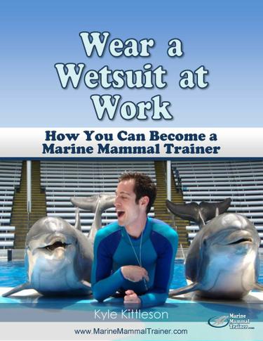 Wear a Wetsuit at Work: