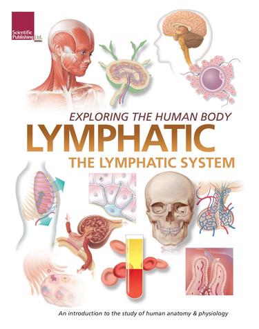 Exploring the Human Body: The Lymphatic System