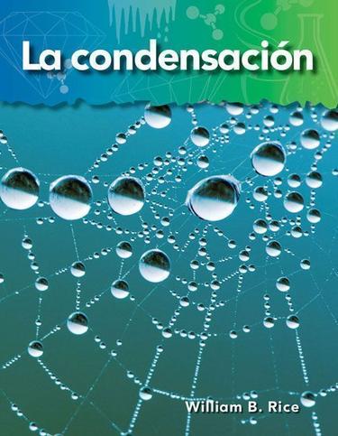 Cover image for La condensacion (Condensation)