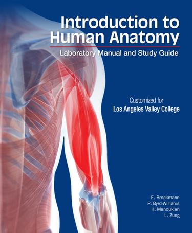 Introduction to Human Anatomy: Customized for Los Angeles Valley College