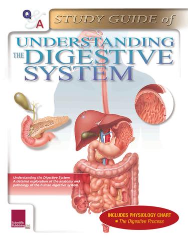 Understanding the Digestive System: A Study Guide